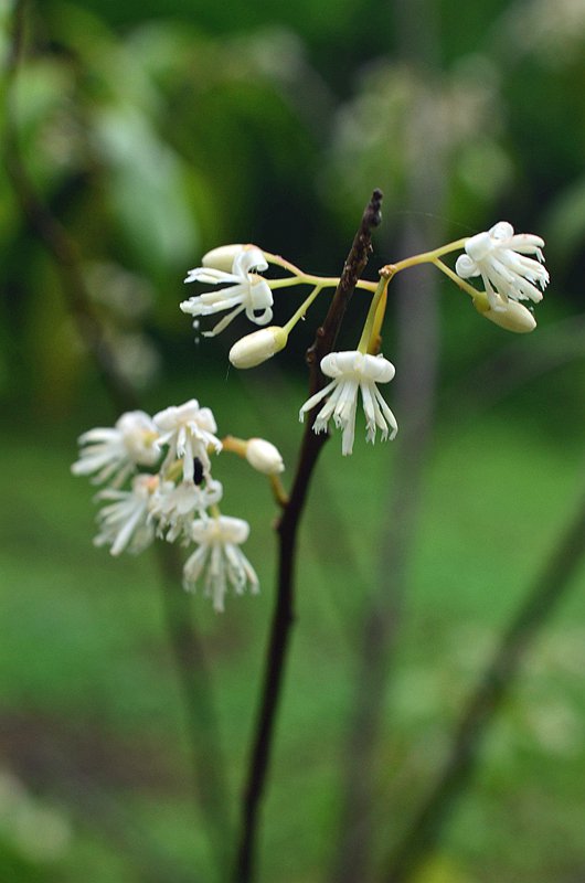 ��Ϣ������ذ�Ϣ�� (7).JPG