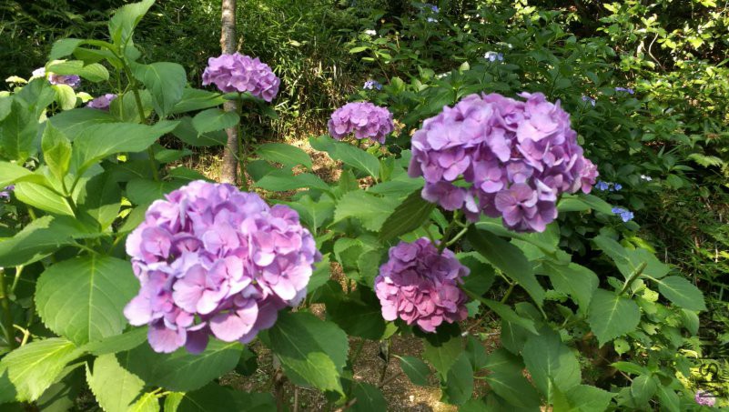 ΢��ͼƬ_20180516110725.jpg
