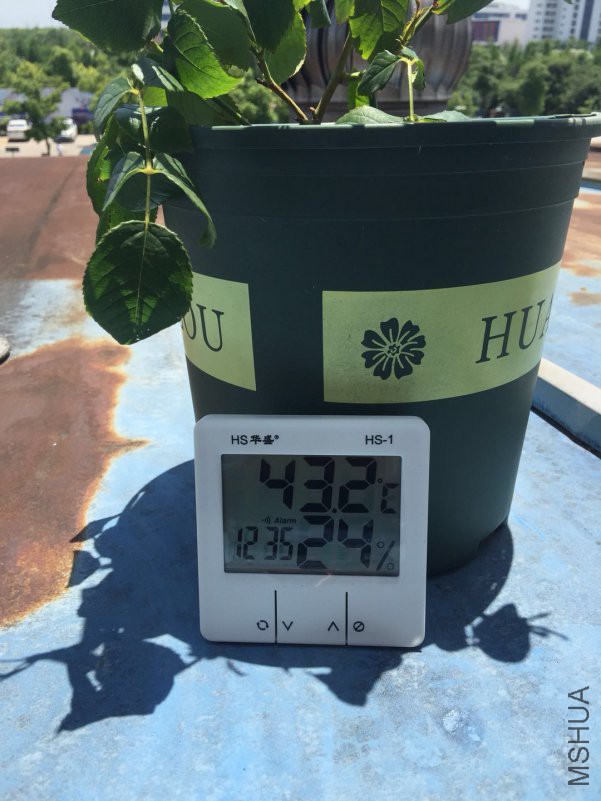 ΢��ͼƬ_20180516124019.jpg