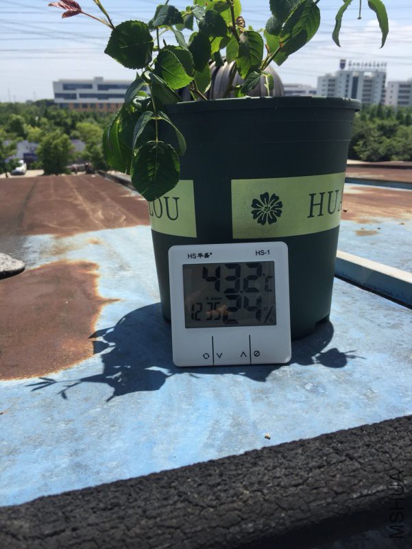 ΢��ͼƬ_20180516124028.jpg