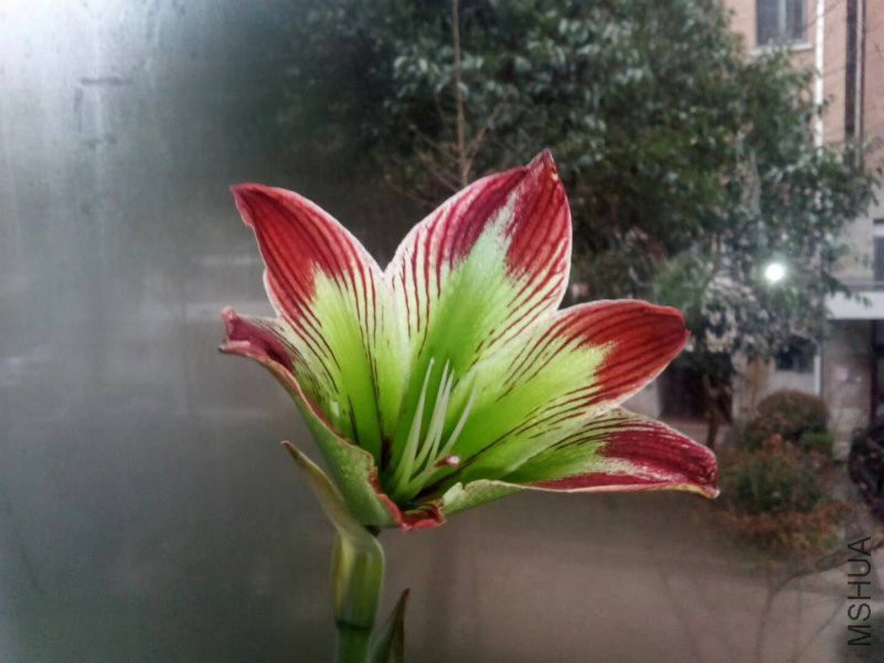 ΢��ͼƬ_20180516124419.jpg