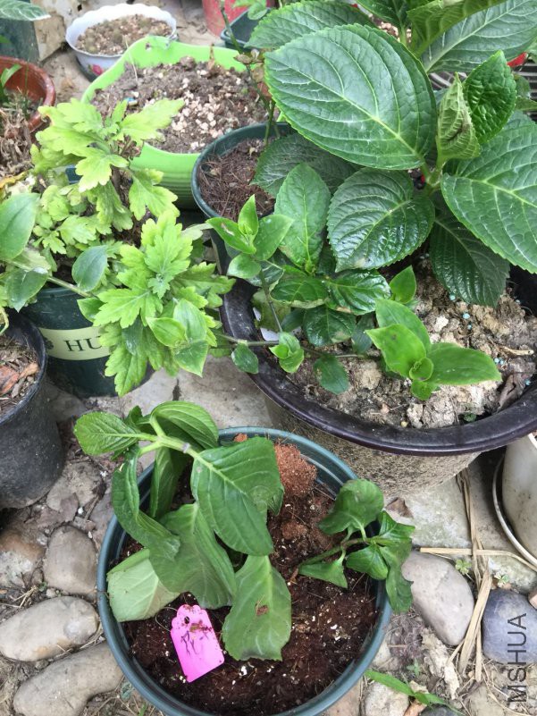 ΢��ͼƬ_20180517082218.jpg