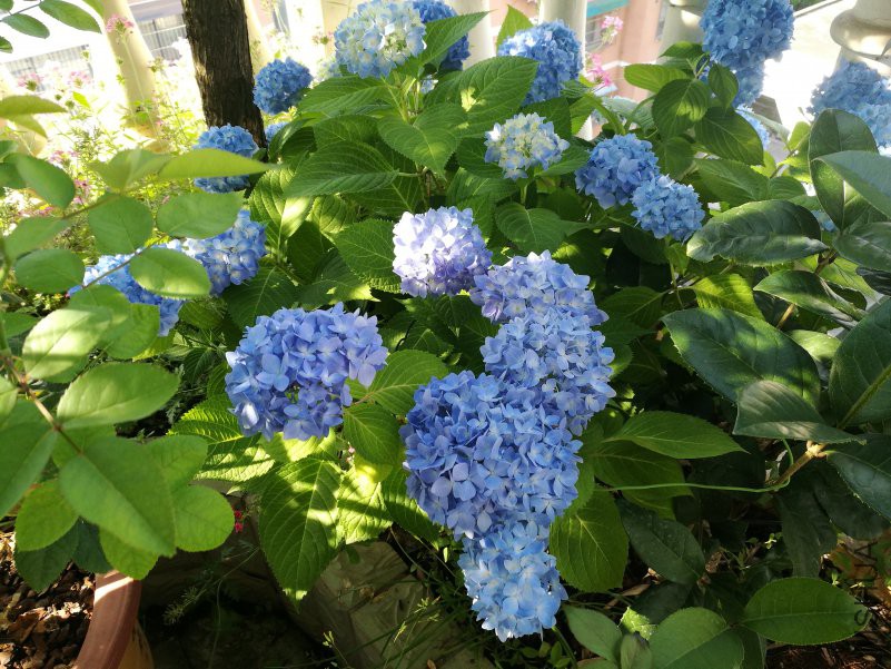 QQͼƬ20180517082905.jpg
