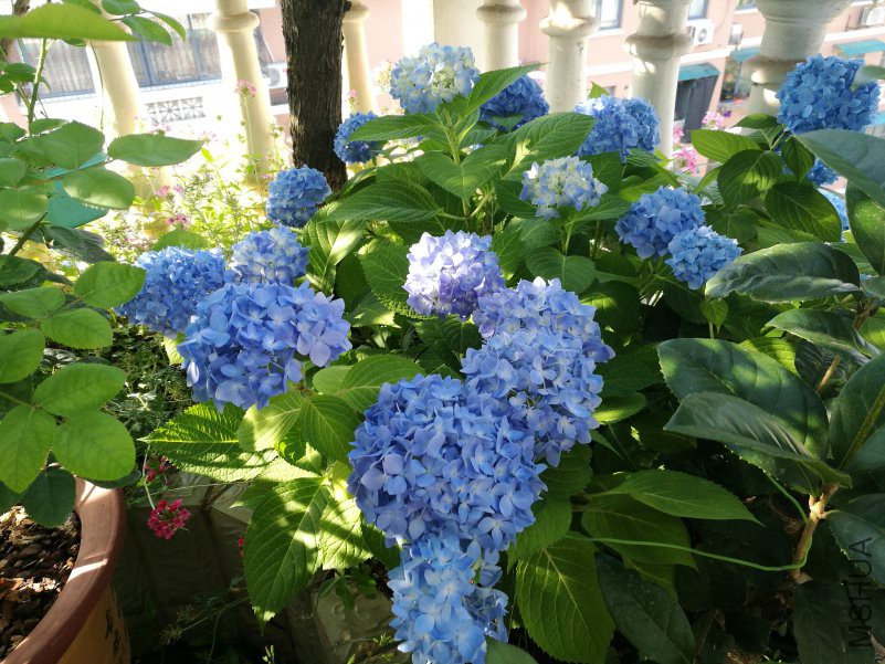 QQͼƬ20180517082848.jpg