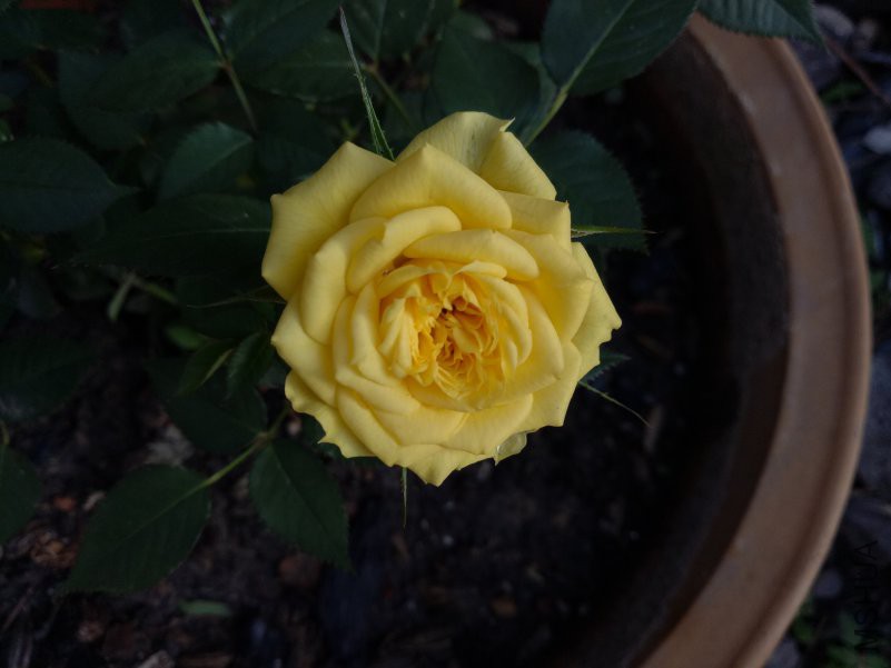 IMG20180517180910.jpg