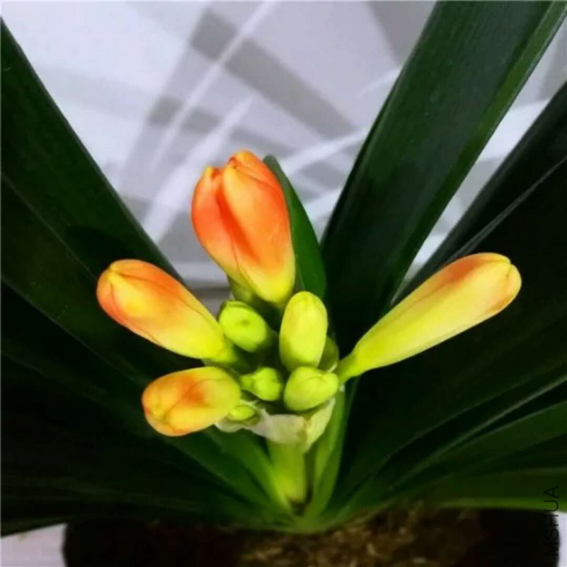 ΢��ͼƬ_20180518075131.jpg