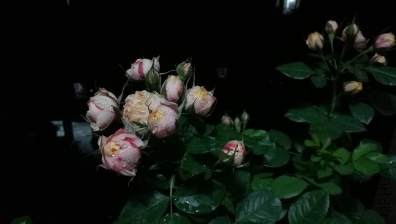 ΢��ͼƬ_20180518094202.jpg