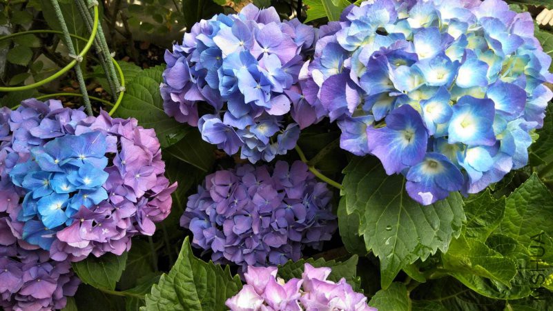 ΢��ͼƬ_20180518095913_����.jpg