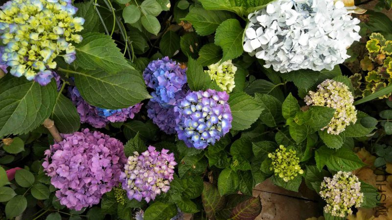 ΢��ͼƬ_20180518095900_����.jpg