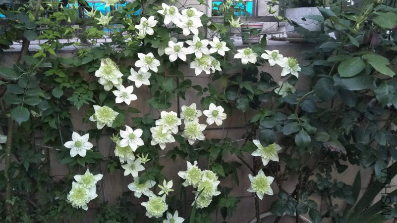 ΢��ͼƬ_20180502202105.jpg