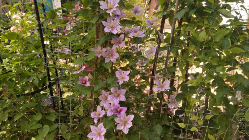 ΢��ͼƬ_20180502201609.jpg