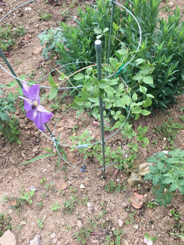 ΢��ͼƬ_20180518150635.jpg