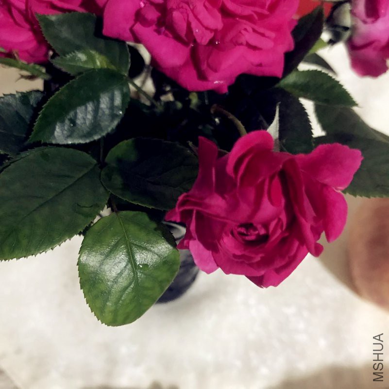΢��ͼƬ_20180501221505_����.jpg