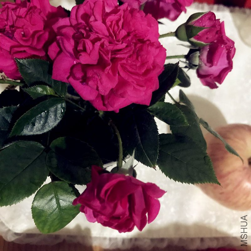 ΢��ͼƬ_201805012215051_����.jpg