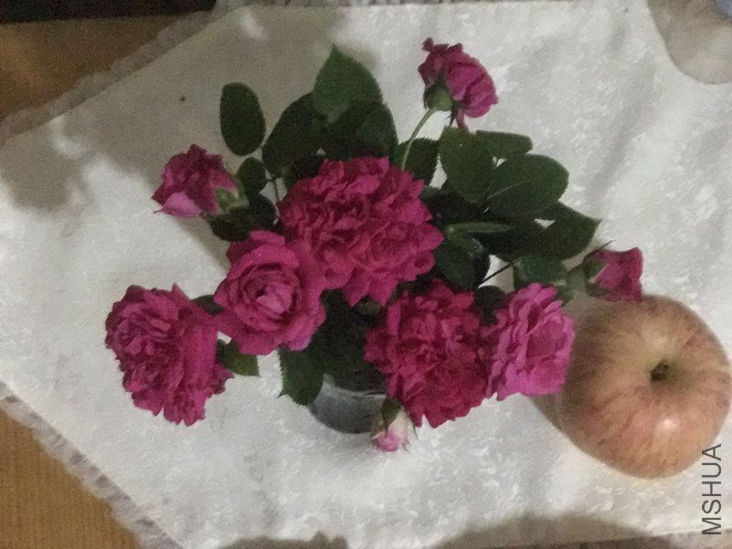 ΢��ͼƬ_201805012215055.jpg