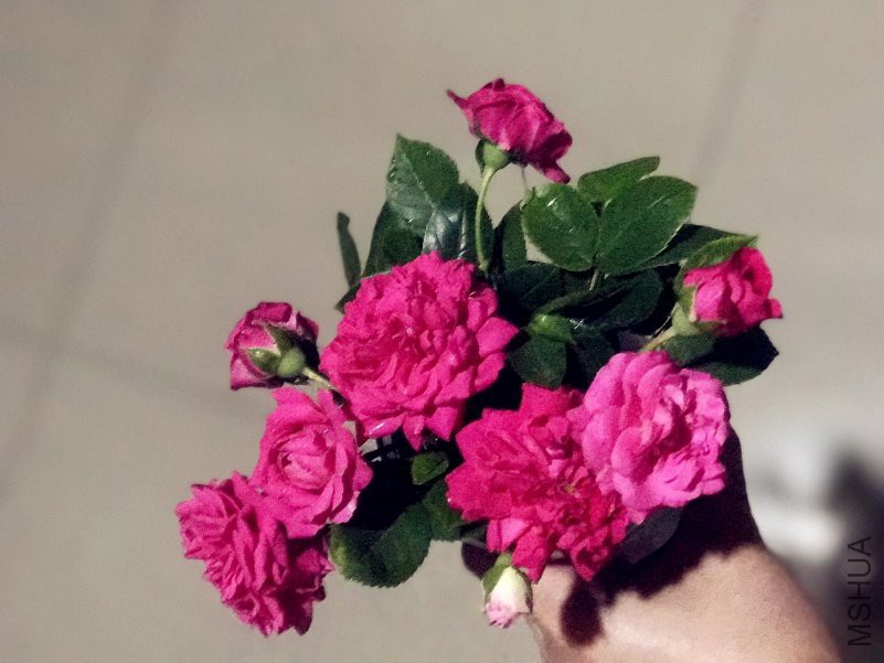 ΢��ͼƬ_201805012215056_����_����.jpg