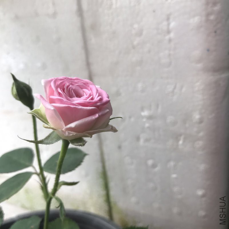 ΢��ͼƬ_20180429212413.jpg