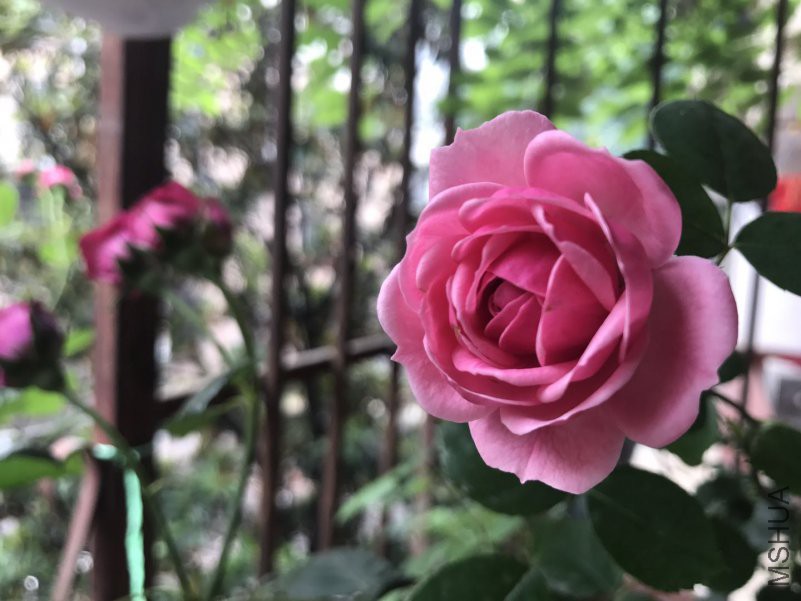 ΢��ͼƬ_20180508200030.jpg
