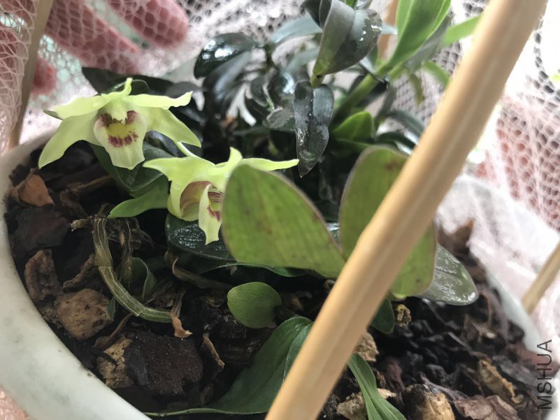 ΢��ͼƬ_20180508194425.jpg