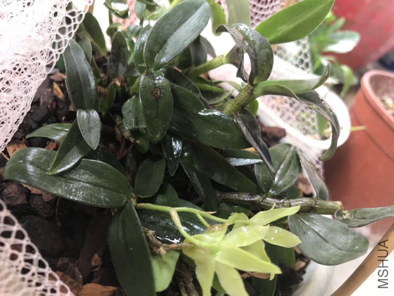 ΢��ͼƬ_201805081942173.jpg