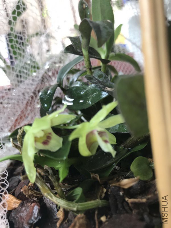 ΢��ͼƬ_201805081942177.jpg