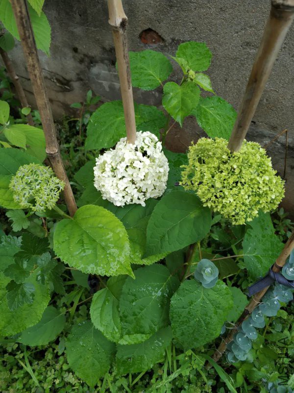 ΢��ͼƬ_20180518215235.jpg