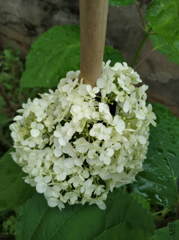 ΢��ͼƬ_20180518215255.jpg