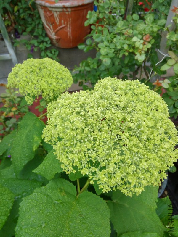 IMG_20180521_060718_HDR.jpg