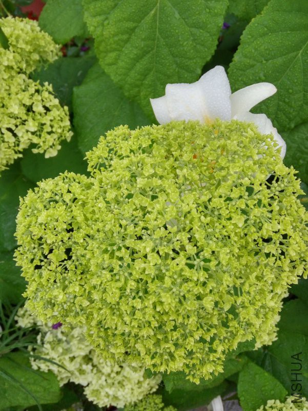 IMG_20180521_060653_HDR.jpg