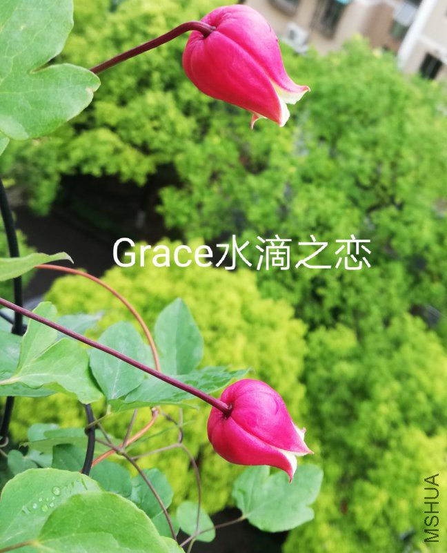 4dda6c93fb2b1faf.jpg