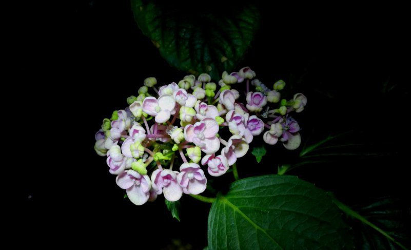 ΢��ͼƬ_20180521111627.jpg