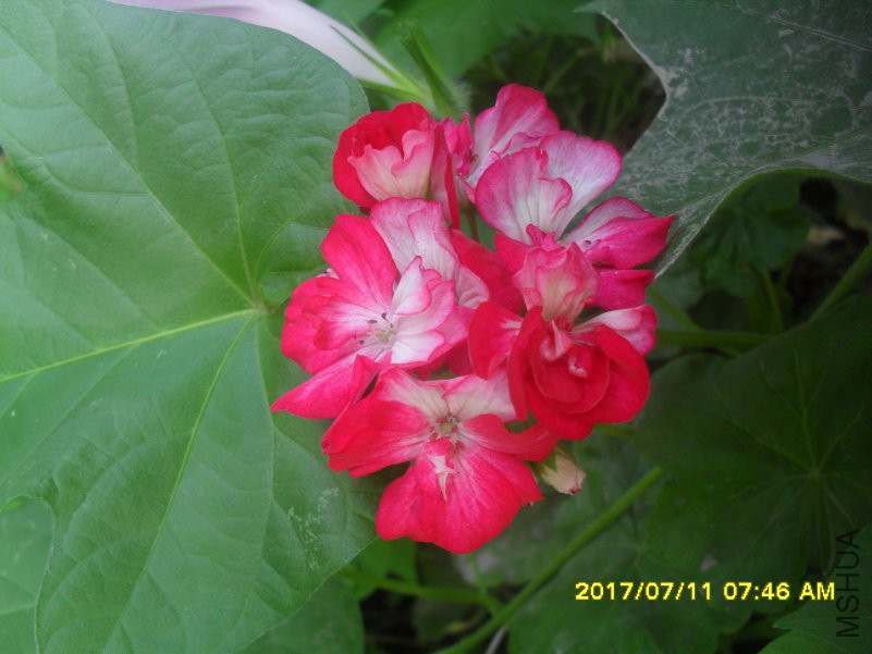 SDC14979.JPG