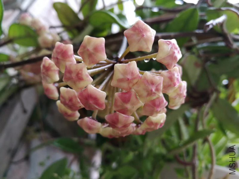 ΢��ͼƬ_20180521131051.jpg