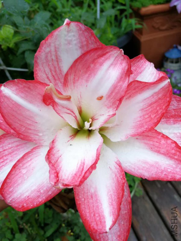 ΢��ͼƬ_20180521131101.jpg