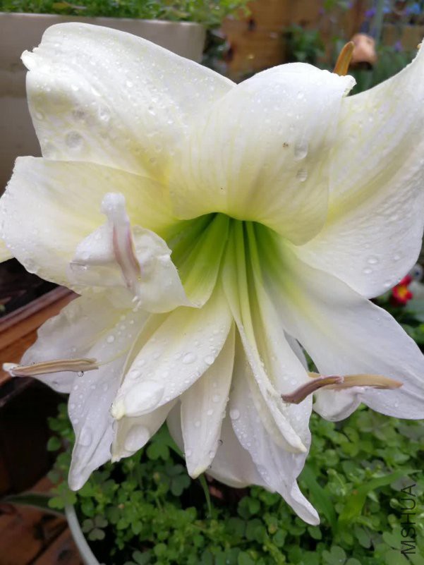 ΢��ͼƬ_20180521131109.jpg