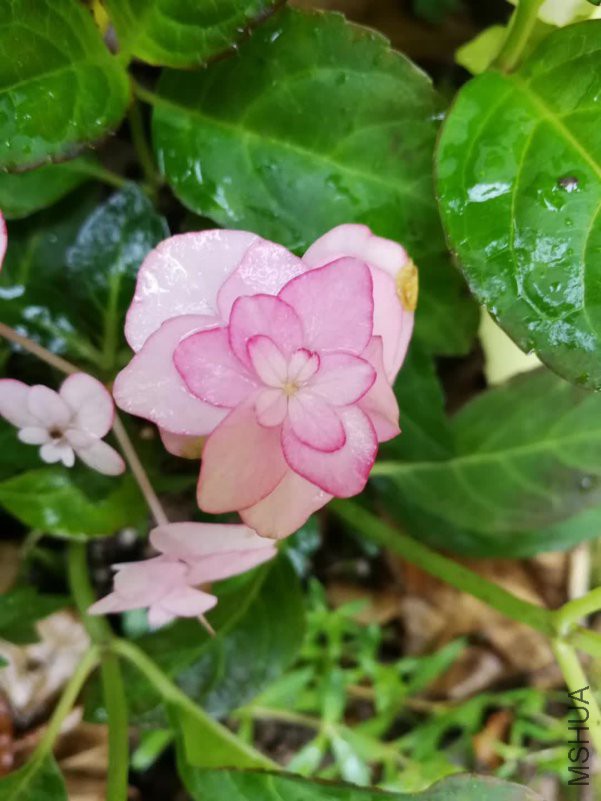 ΢��ͼƬ_20180521131149.jpg