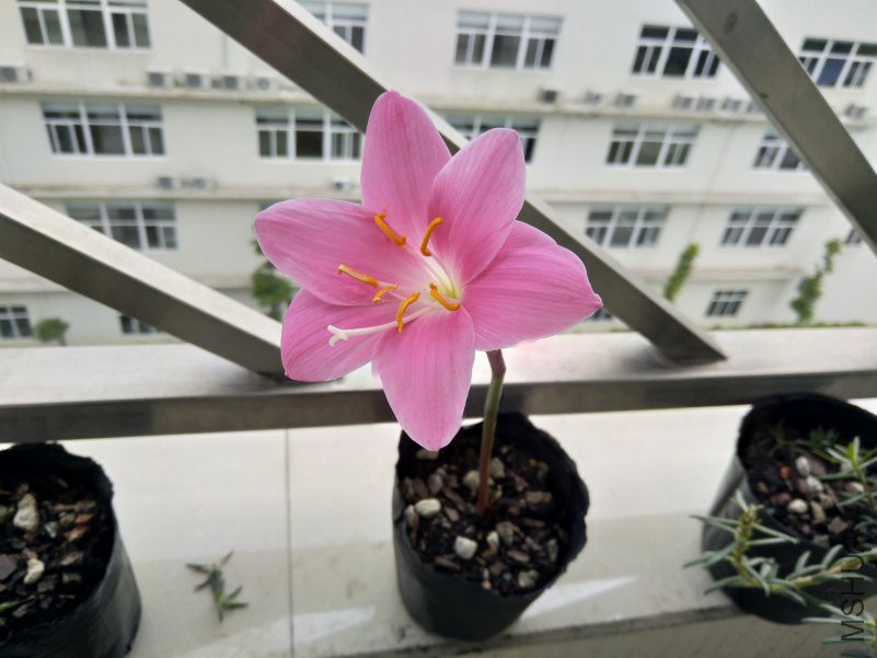 IMG_20180521_143555.jpg