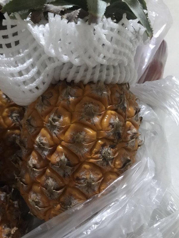 ΢��ͼƬ_201805202055273.jpg