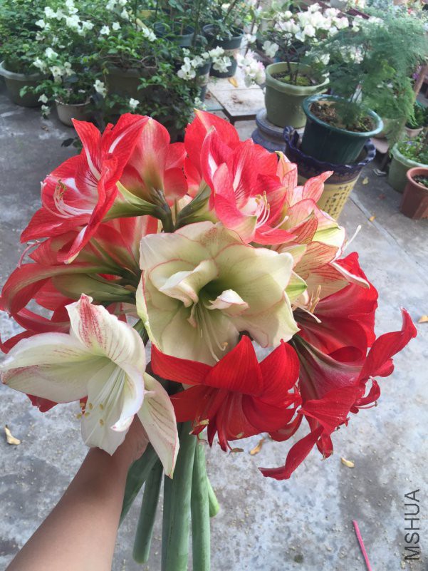 ΢��ͼƬ_20180522165315.jpg