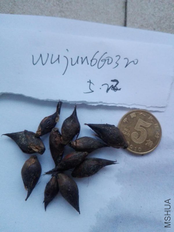 ΢��ͼƬ_20180622183613.jpg