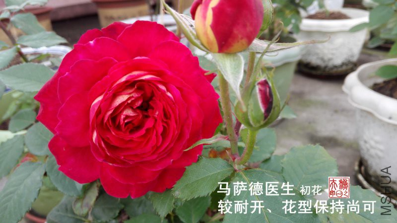02-B.jpg