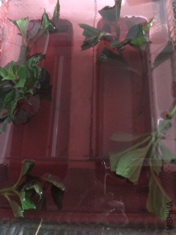 ΢��ͼƬ_20180524195056.jpg