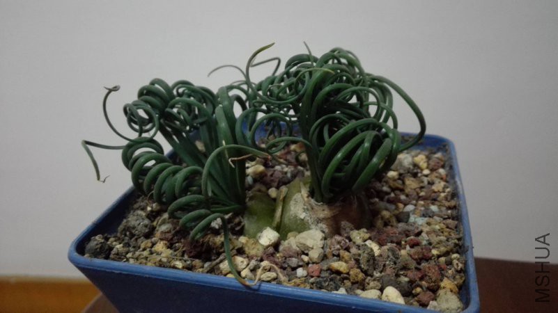 ΢��ͼƬ_201804071928131.jpg