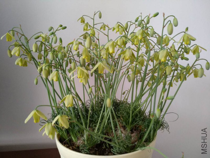 ΢��ͼƬ_20180222113043.jpg