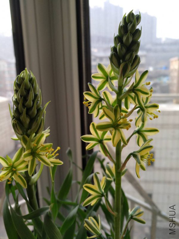 ΢��ͼƬ_201802221130431.jpg