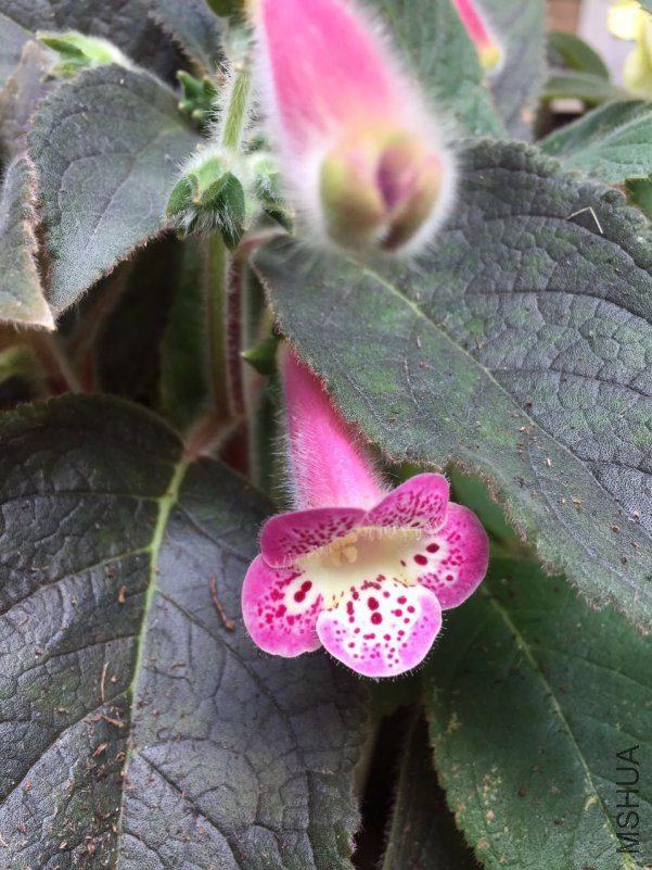 ΢��ͼƬ_20180528150044.jpg