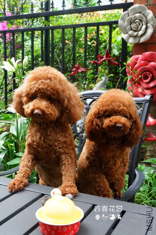 DSCF3290.jpg