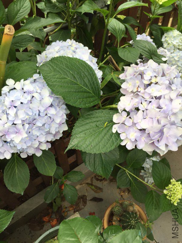 ΢��ͼƬ_20180530083108.jpg