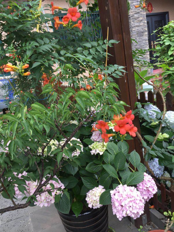 ΢��ͼƬ_20180530083115.jpg
