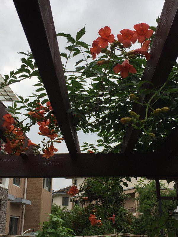 ΢��ͼƬ_20180530083024.jpg